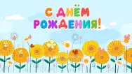 Занавес день рождения 048
