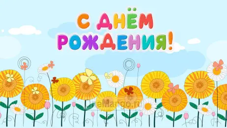 Занавес день рождения 048