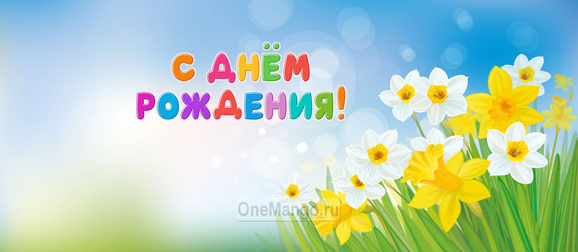 Занавес день рождения 053