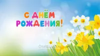 Занавес день рождения 053