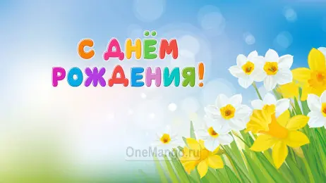 Занавес день рождения 053