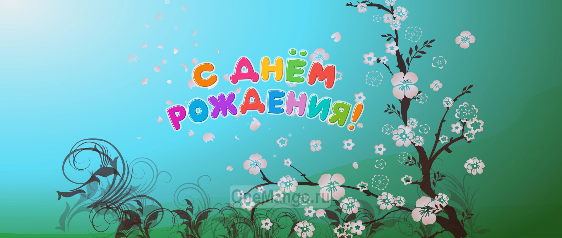 Занавес день рождения 072