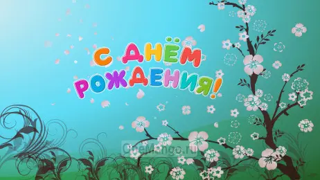Занавес день рождения 072