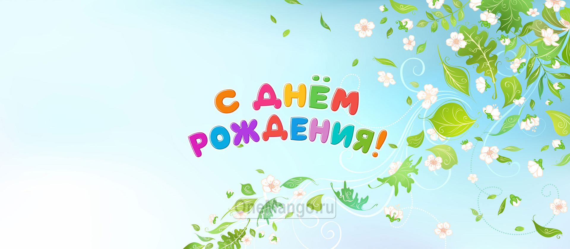 Занавес день рождения 073