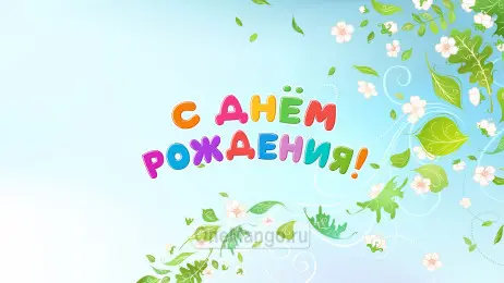 Занавес день рождения 073