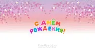 Занавес день рождения 081