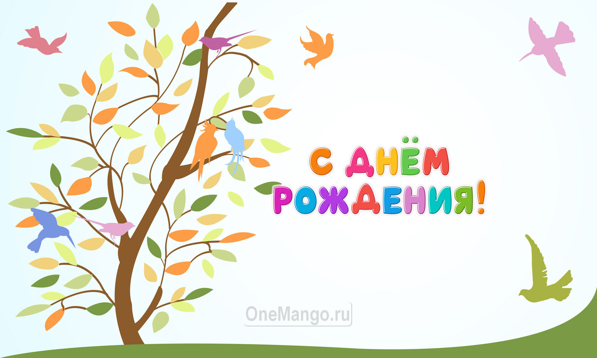Занавес день рождения 085