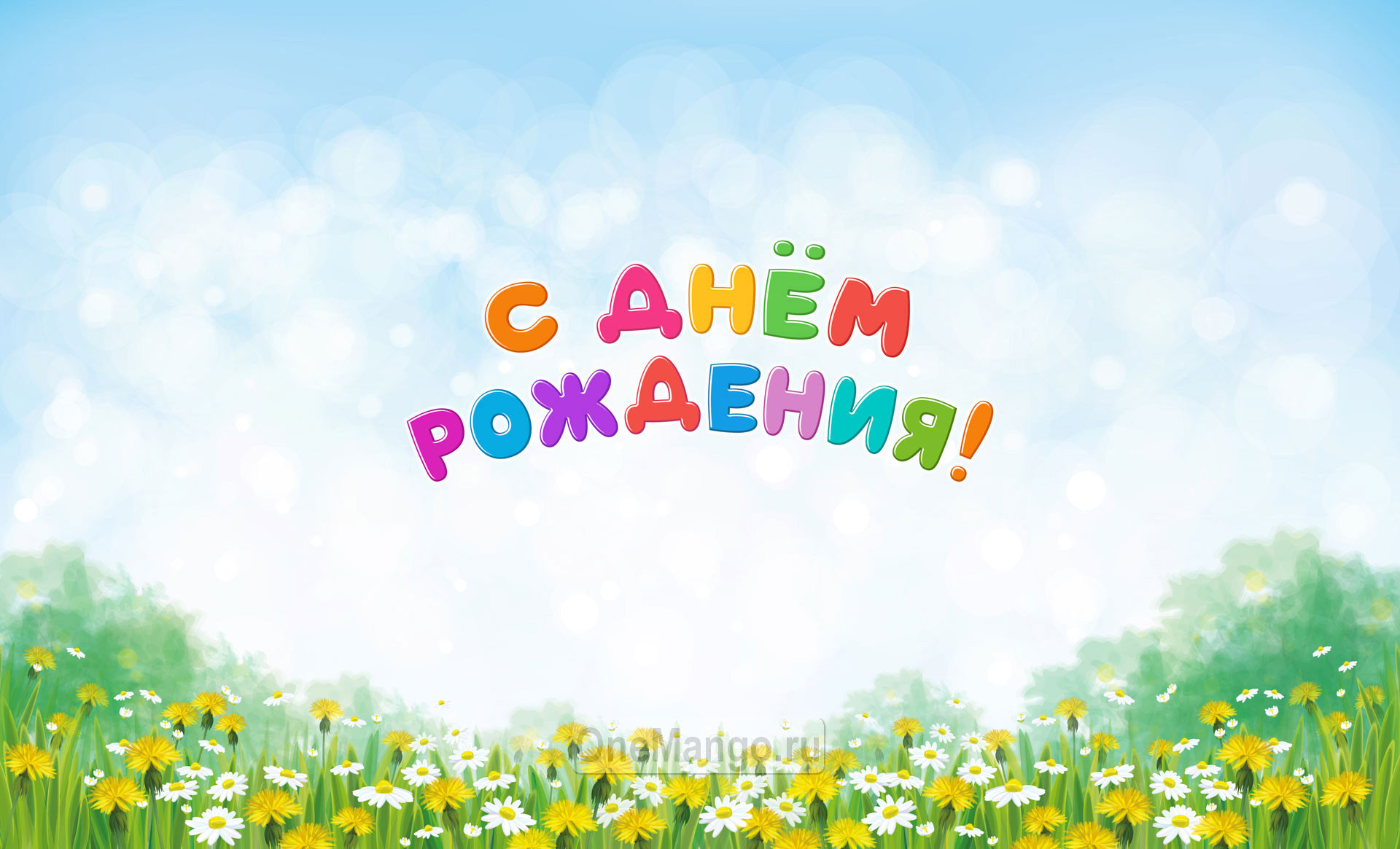 Занавес день рождения 087