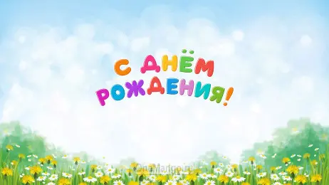 Занавес день рождения 087
