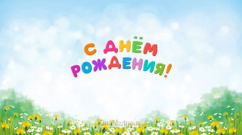 Занавес день рождения 087