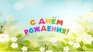 Занавес день рождения 105