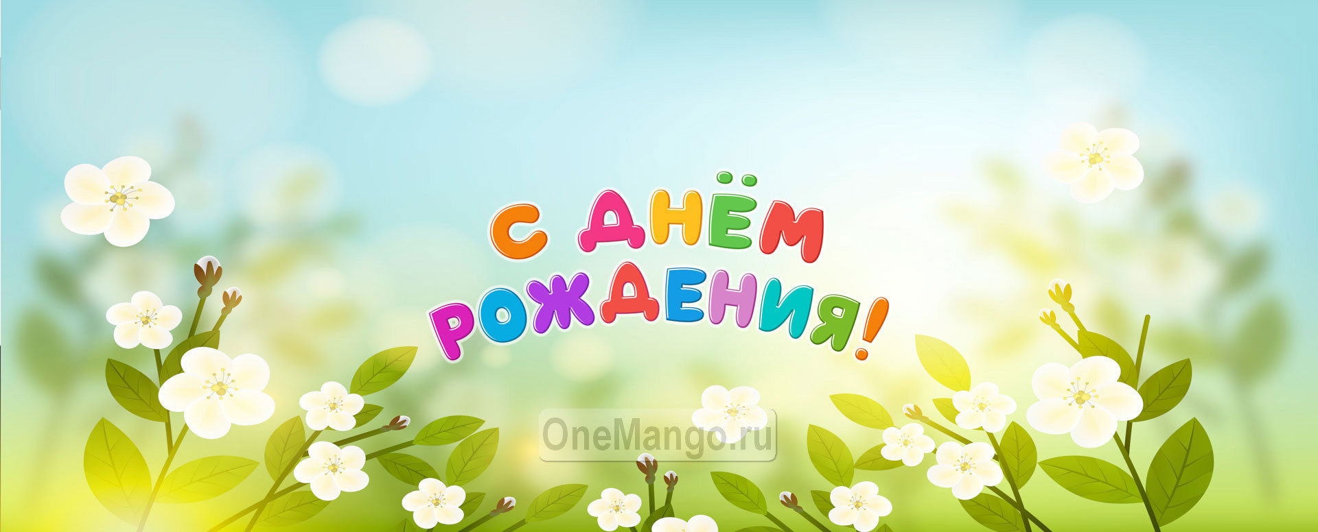 Занавес день рождения 105