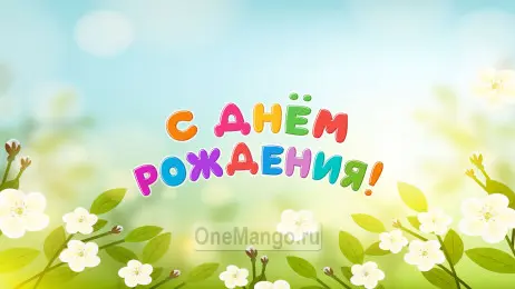 Занавес день рождения 105