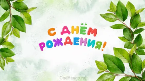 Занавес день рождения 106