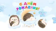 Занавес день рождения 108