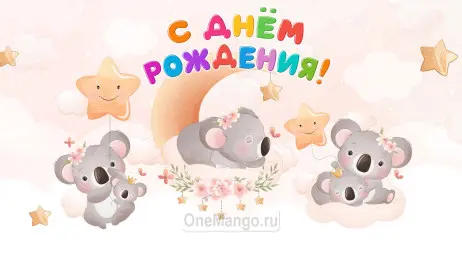 Занавес день рождения 111