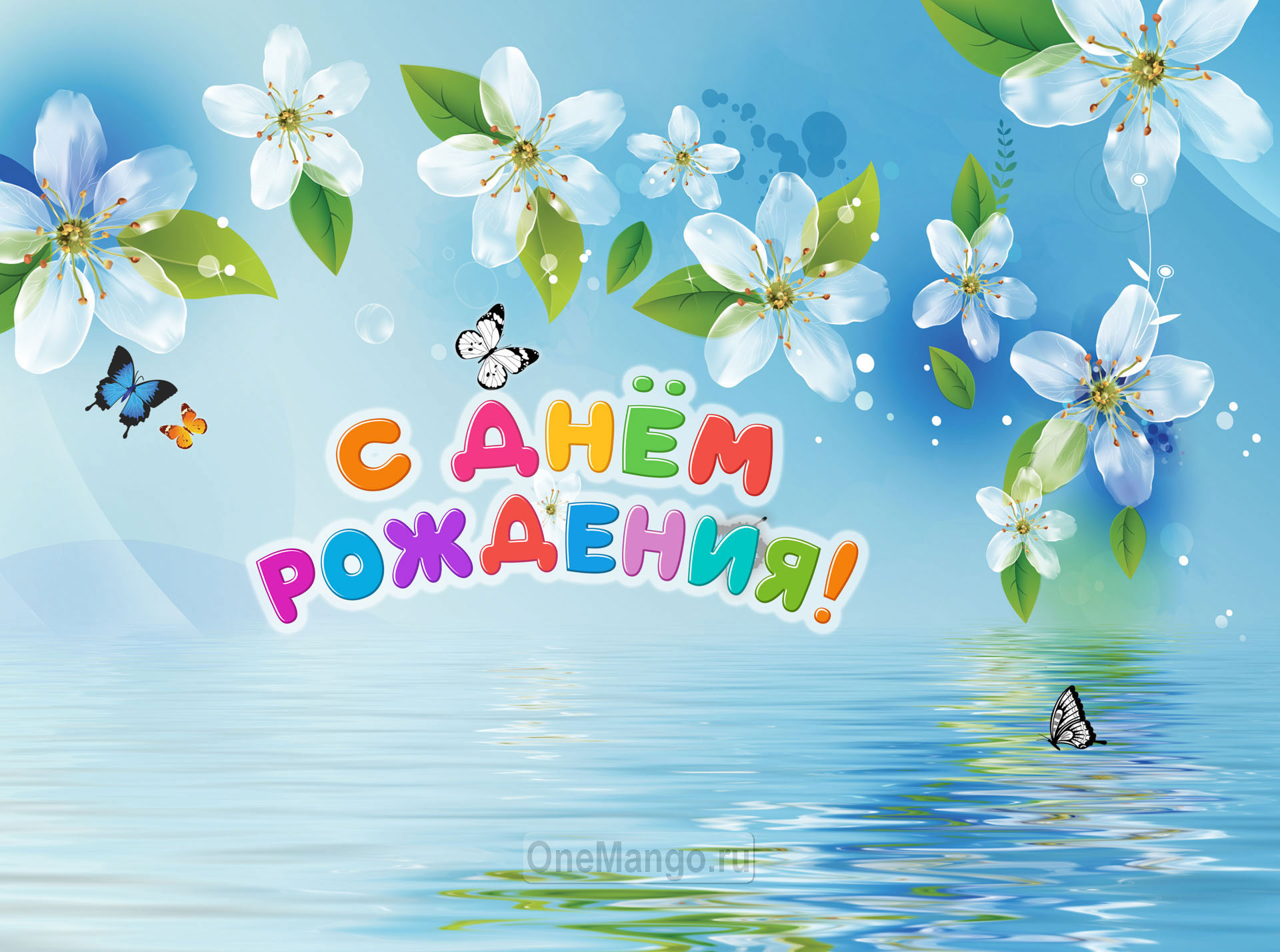 Занавес день рождения 114