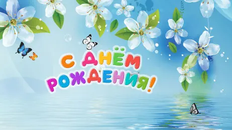 Занавес день рождения 114