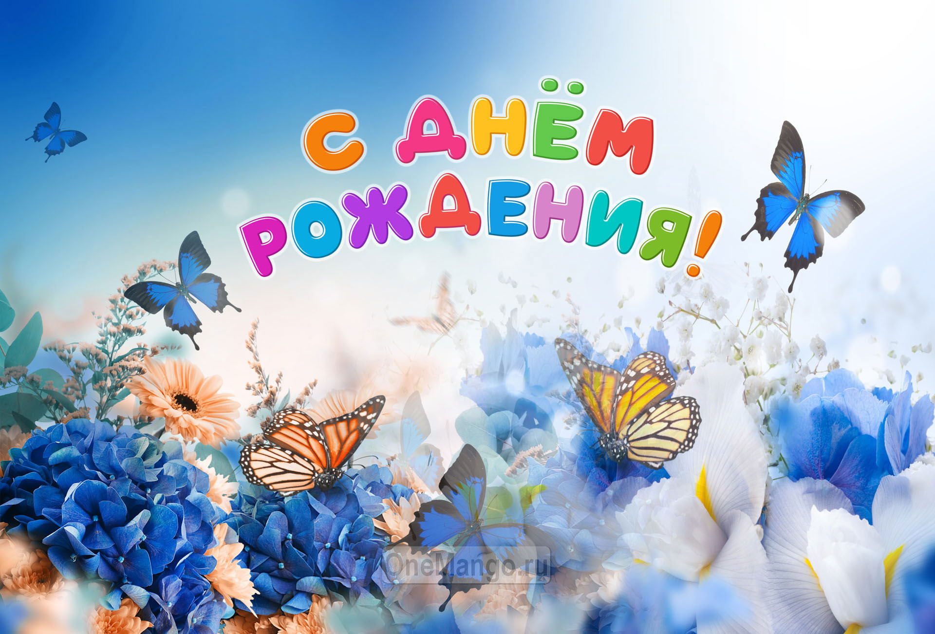 Занавес день рождения 117