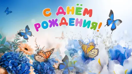 Занавес день рождения 117