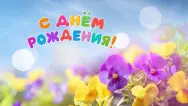 Занавес день рождения 120