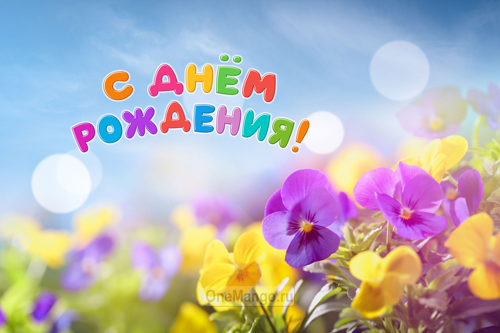 Занавес день рождения 120