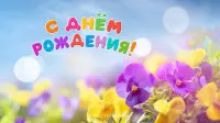 Занавес день рождения 120