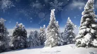 Новогодний занавес 001