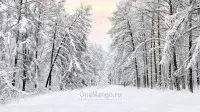 Новогодний занавес 002