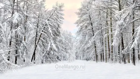 Новогодний занавес 002