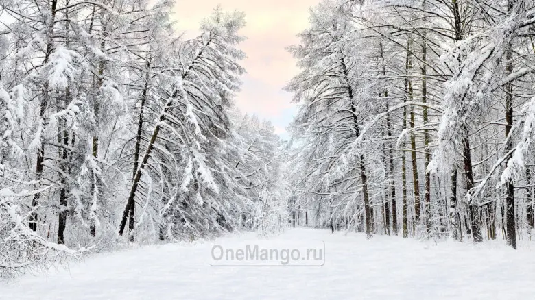 Новогодний занавес 002