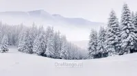 Новогодний занавес 008