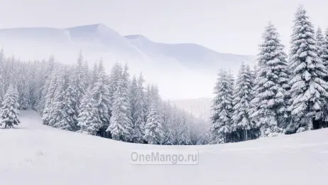 Новогодний занавес 008