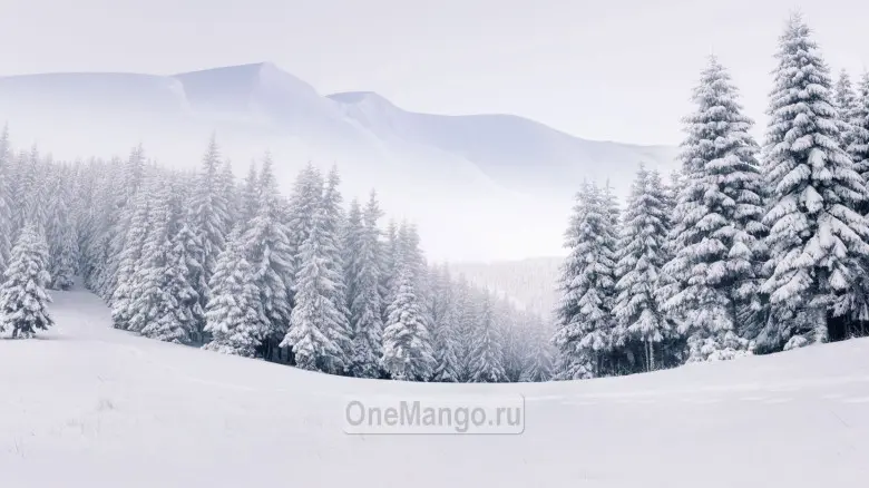 Новогодний занавес 008