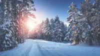 Новогодний занавес 012