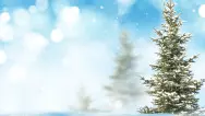 Новогодний занавес 013