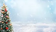Новогодний занавес 016