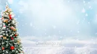 Новогодний занавес 016