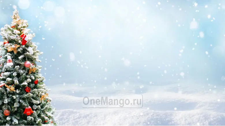Новогодний занавес 016