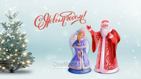 Новогодний занавес 017