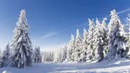Новогодний занавес 018