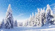 Новогодний занавес 019