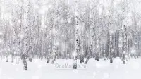 Новогодний занавес 027