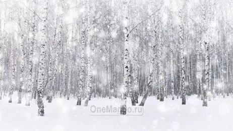 Новогодний занавес 027