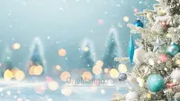 Новогодний занавес 028