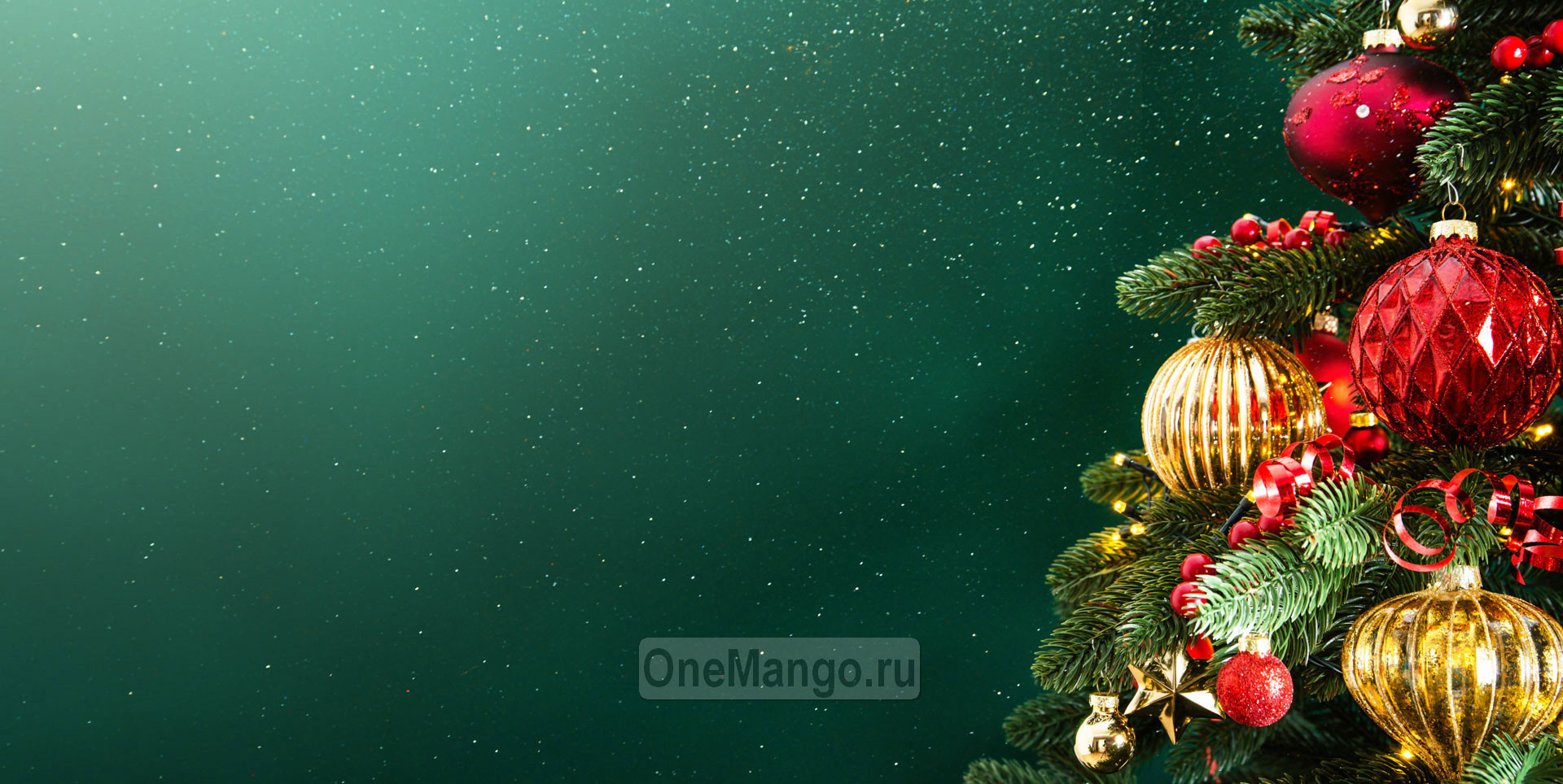 Новогодний занавес 030
