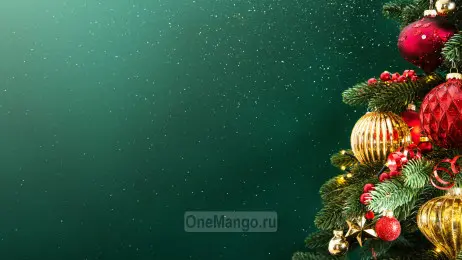 Новогодний занавес 030