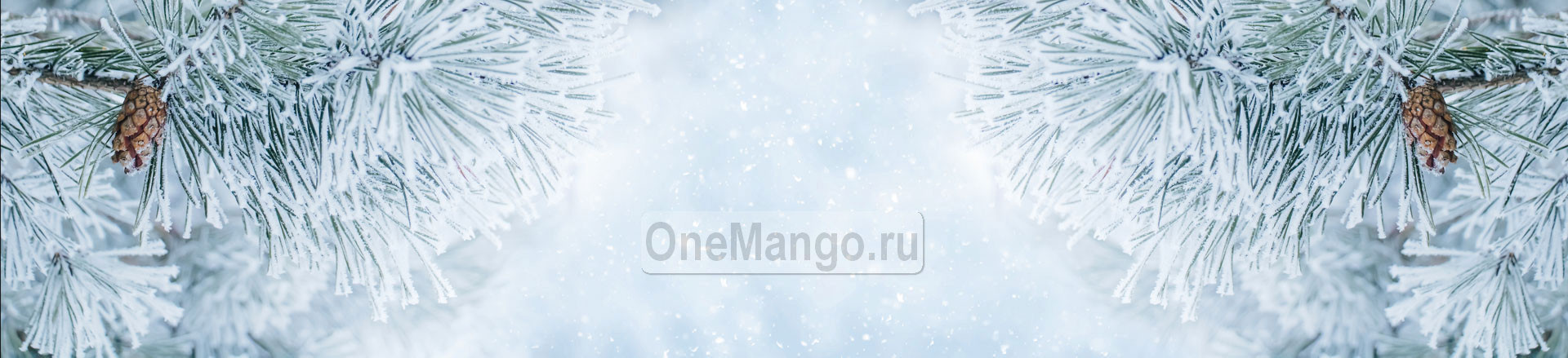 Новогодний занавес 035
