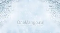 Новогодний занавес 035