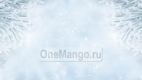 Новогодний занавес 035